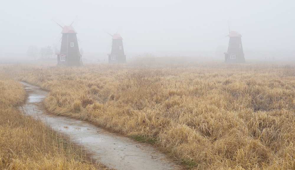 a road von Donghee Han