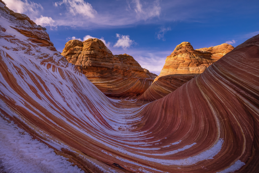 Wave of Lines von DonnaHom