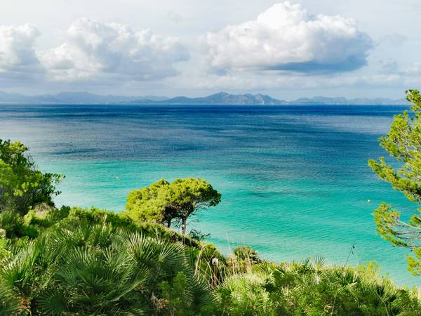 Blaues Meer mit Bergen und Palmen auf Mallorca von Doris Beckmann