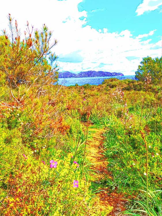 Der Weg zum Meer von Doris Beckmann