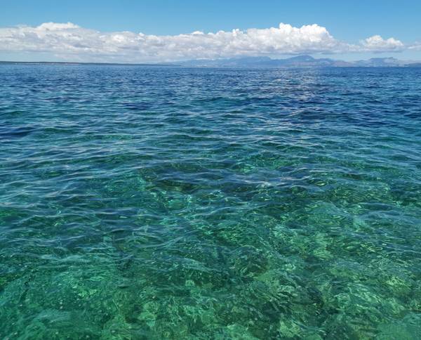 Grün und Blau - Glasklar 2 von Doris Beckmann