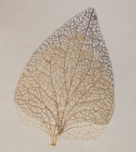 Das Blatt - Licht und Schatten 2