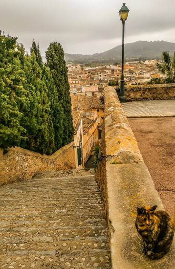 Die Katze an der Treppe in einer mediterranen Stadt