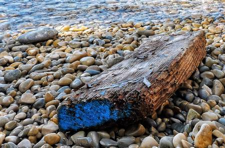 Steine, Strand und Treibholz