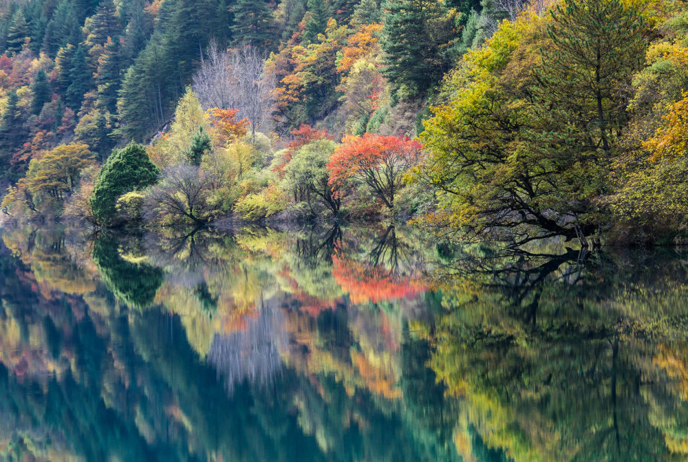 Double fall von Dorit Berkovits