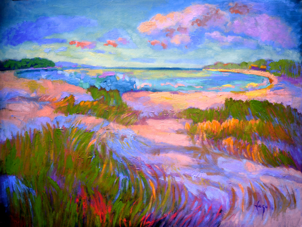 Df1409beachcomber von Dorothy Fagan