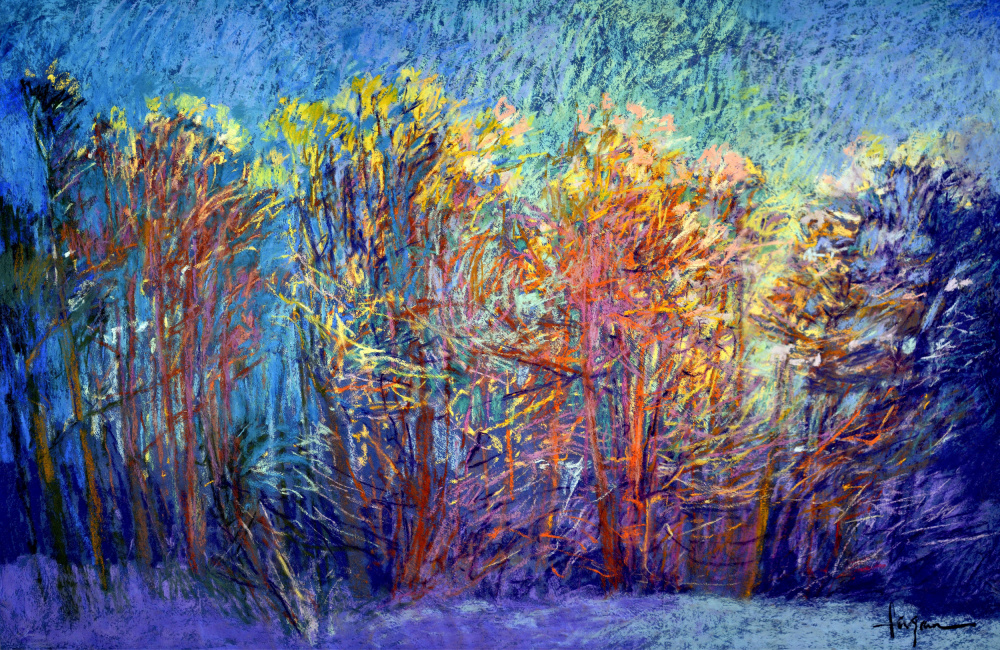 Df366sparklyin the Woods von Dorothy Fagan