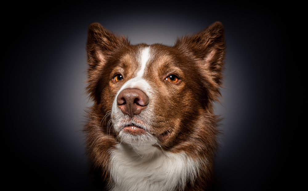 "How are you do in?" von Dorte Irene Sattrup Lund-Nielsen