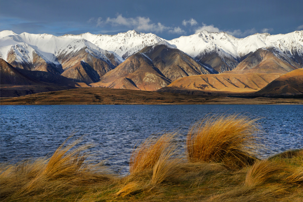 Lake Heron von Dragan Keca