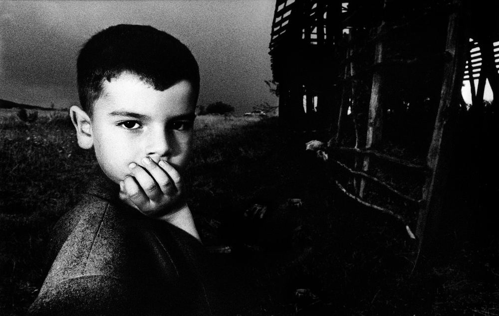 Young Mr. M. von Dragan Ristic