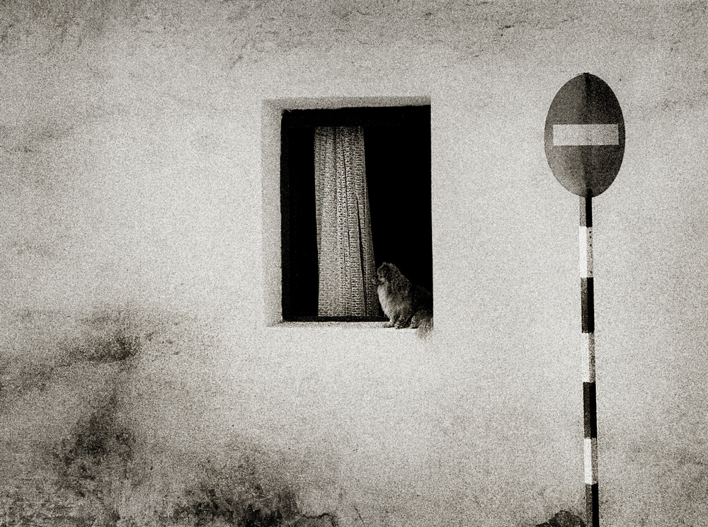 Street life von Dragan Ristic