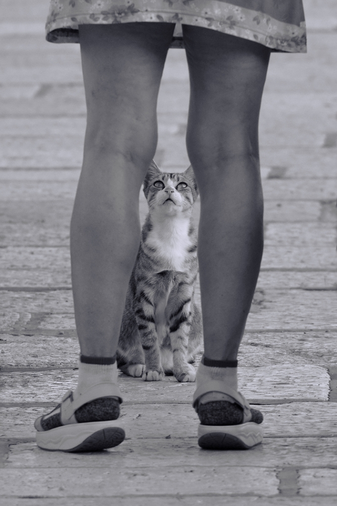 LITTLE PRAYER von Dragan M. Babovic