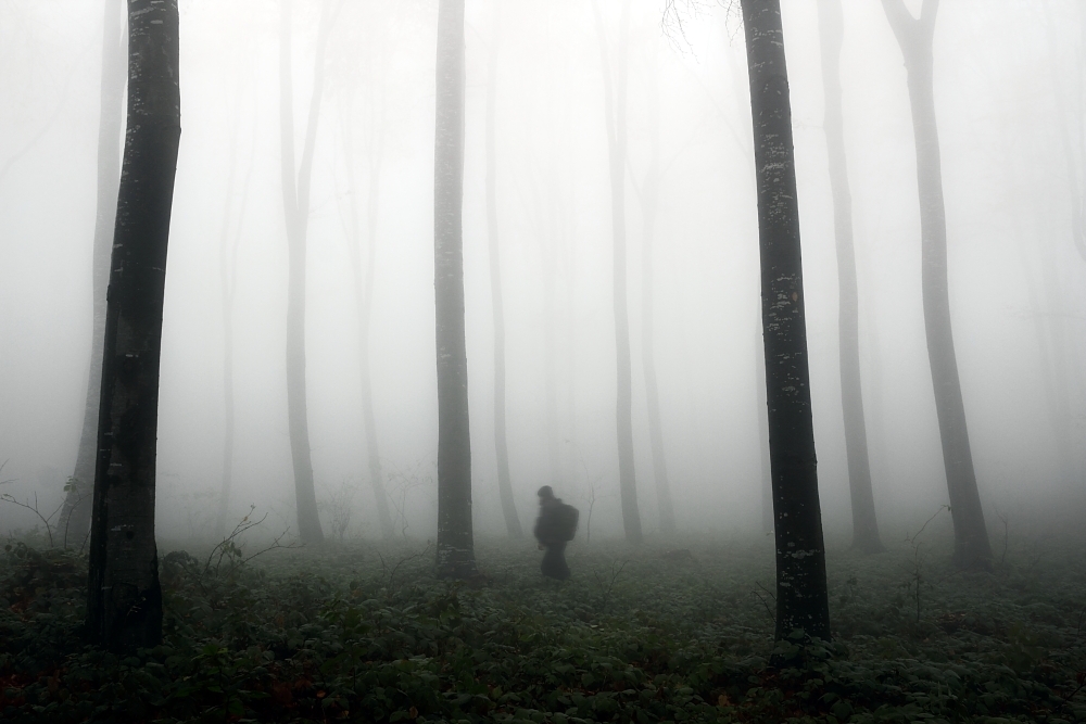 wandering von Dragisa Petrovic