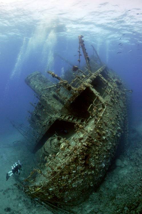 Giannis D wreck. von Dray Van Beeck