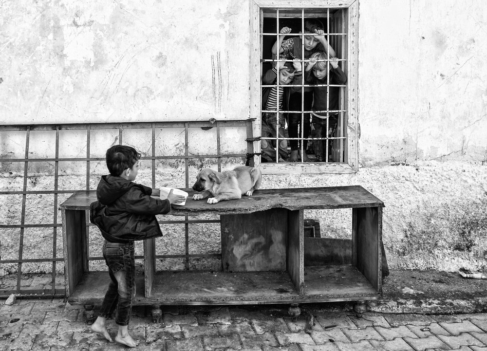 do you a favor ( refugee children) von durmusceylan