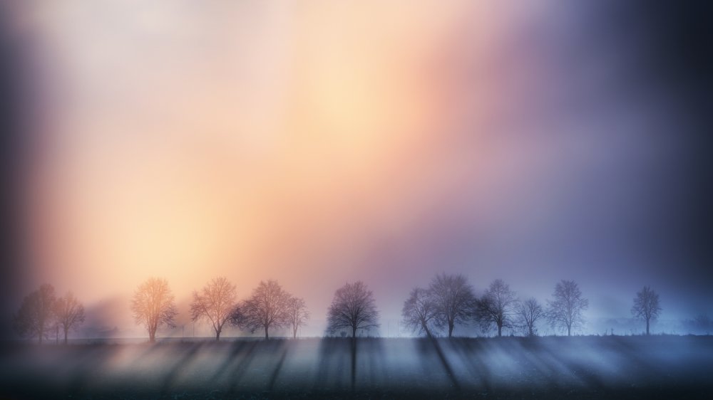 Dark Autumn von Dusan Ignac