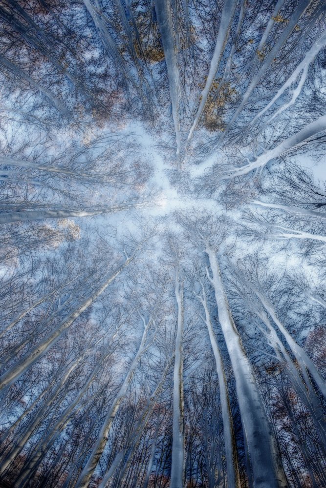 Colours of Autumn von Dusan Ignac