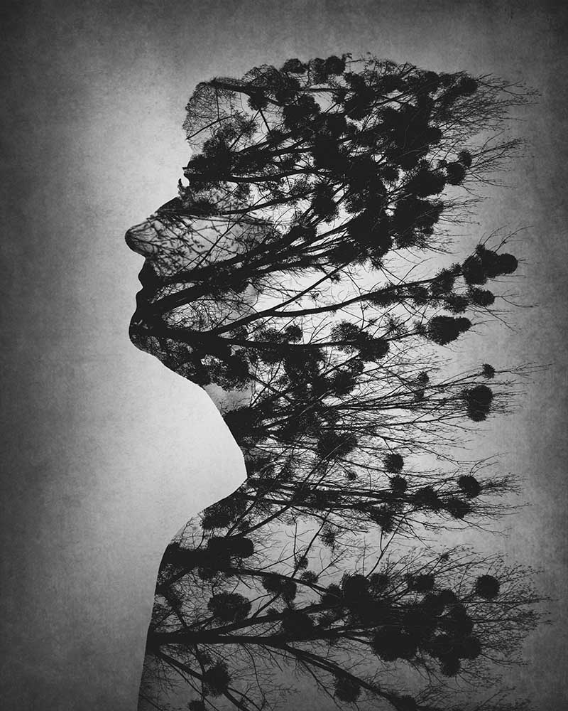 Essenz des Lebens von Dusan Macko