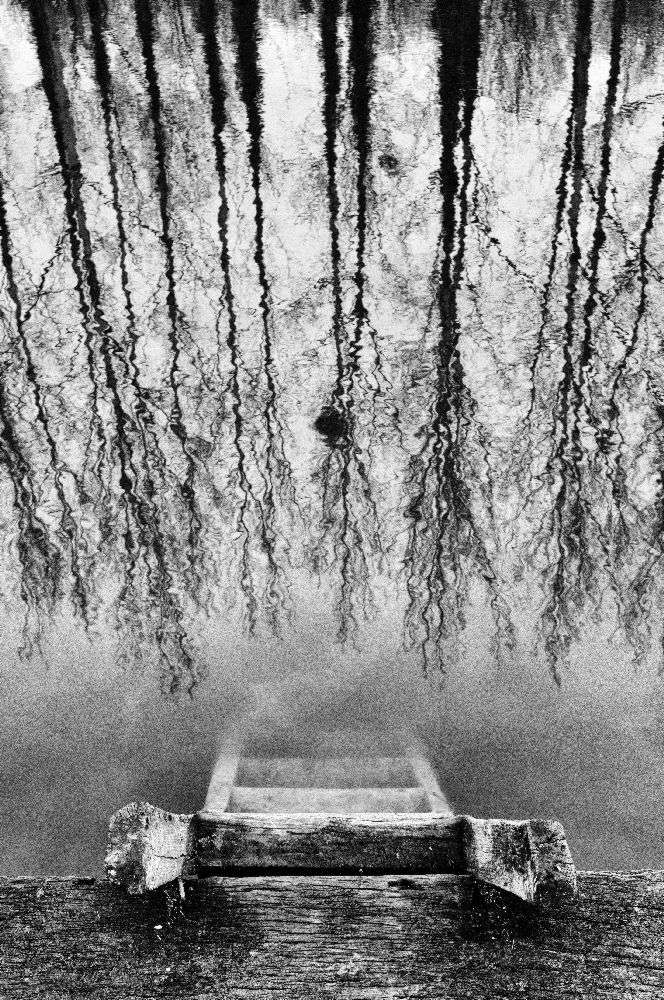 In den Wald von Dušanka Ljubojević