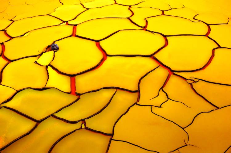 Yellow ground, red heart von E. De Juan