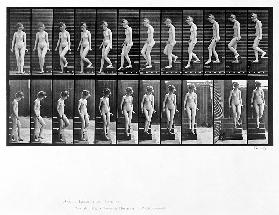 Woman descending steps, plate 137 from ''Animal Locomotion'' 