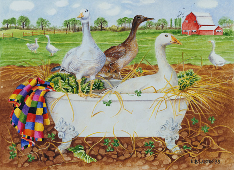Geese in Bathtub, 1998 (acrylic on paper)  von E.B.  Watts