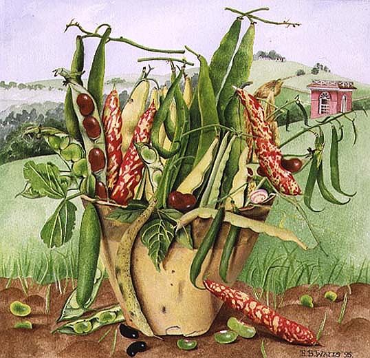 Beans in a Flower Pot, 1995 (acrylic)  von E.B.  Watts
