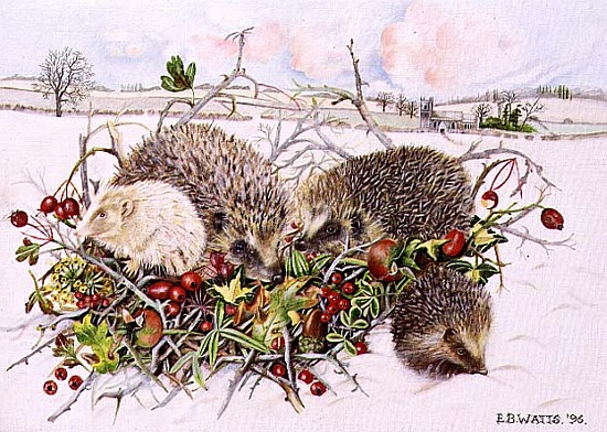 Hedgehogs in Hedgerow Basket, 1996 (acrylic on canvas)  von E.B.  Watts