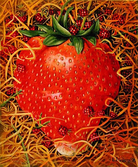 Strawberry in Straw, 1998 (acrylic on canvas)  von E.B.  Watts