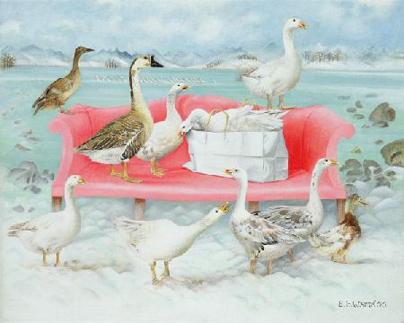 Geese on Pink Sofa