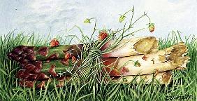 Asparagus Tied with Wild Strawberries, 1997 (acrylic on paper) 