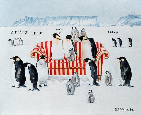 Penguins on a red and white sofa
