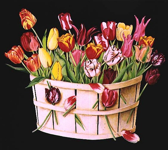 Tulips in an Orchard Basket on Black, 1991 (acrylic)  von E.B.  Watts