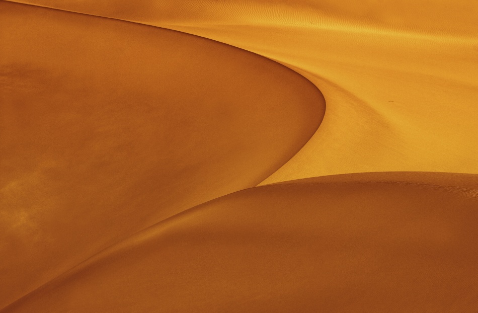 F O R M von Ebrahim Bakhtari bonab