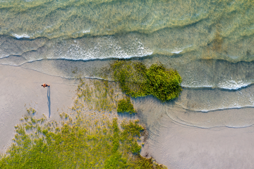 Alone on the Beach von Ed Esposito
