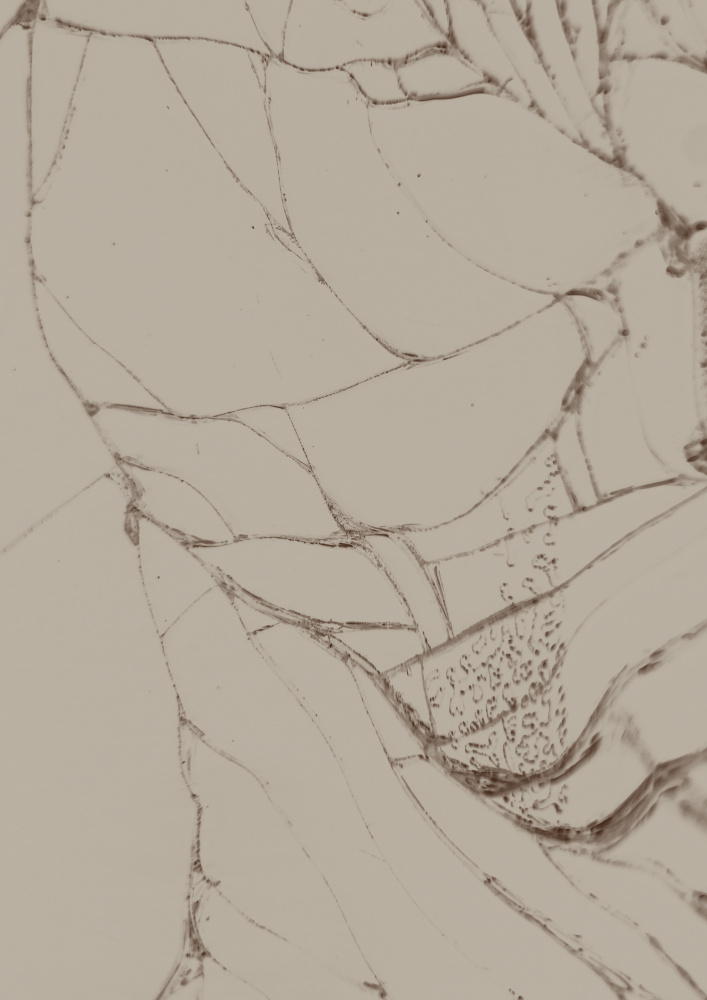 Crash von Eda Ünsoy