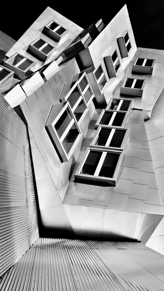 Windows in the wild von Eden Antho