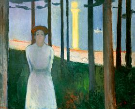 Die Stimme (Sommernacht)