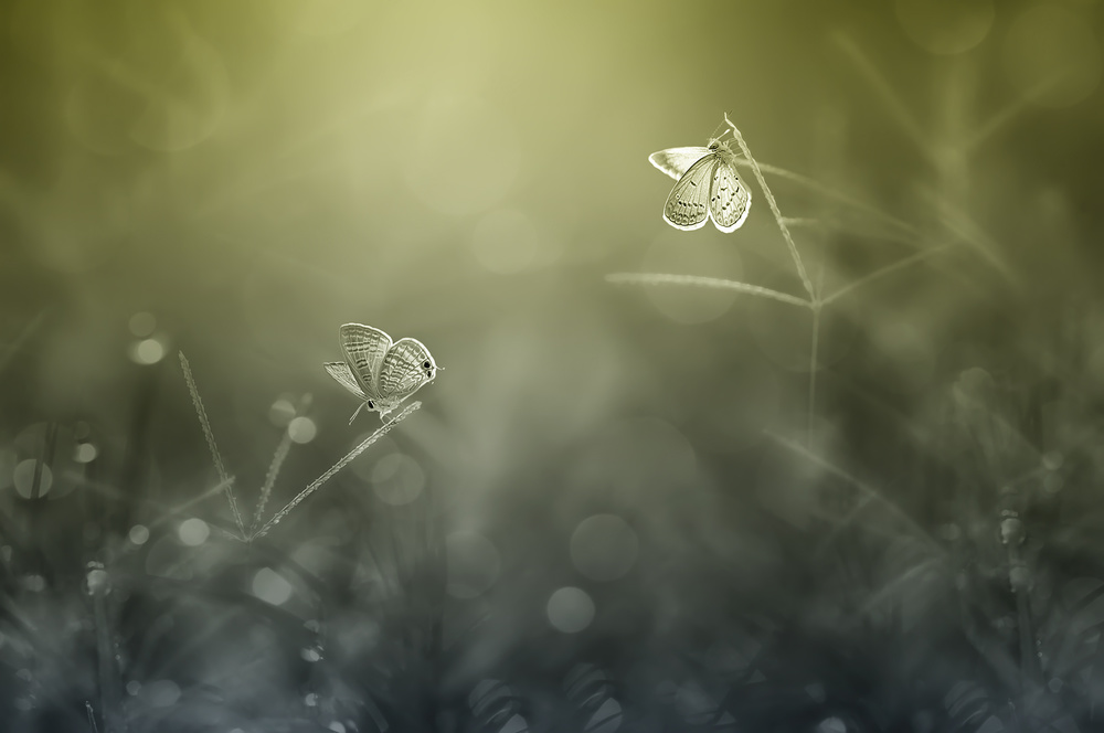 You and Me von Edy Pamungkas