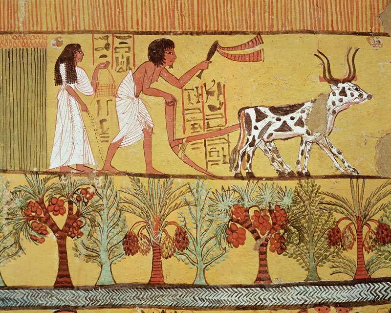 Sennedjem and his wife in the fields sowing and tilling, from the Tomb of Sennedjem, The Workers' Vi von Egyptian