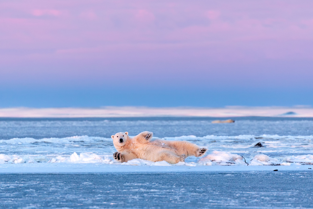 Morning exercise von Eiji Itoyama