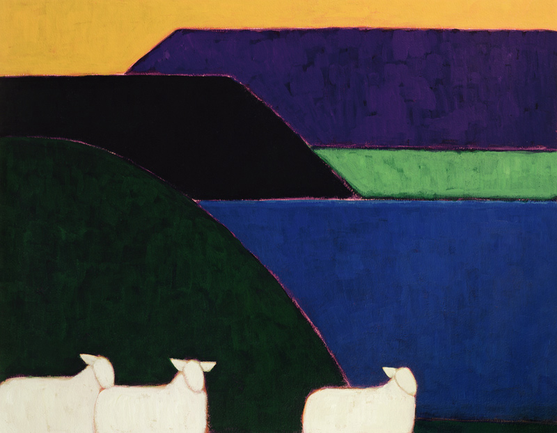 Fjord Snaefellness von Eithne  Donne