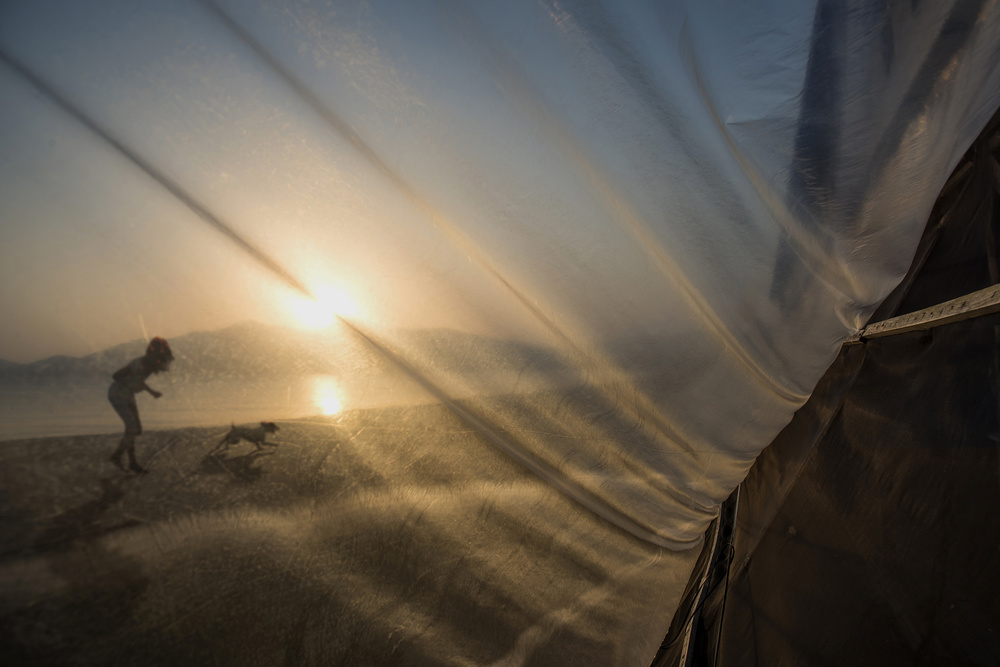 Summer wind von Ekkachai Khemkum