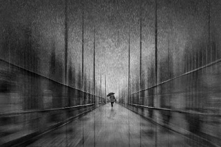 Under the starry rain