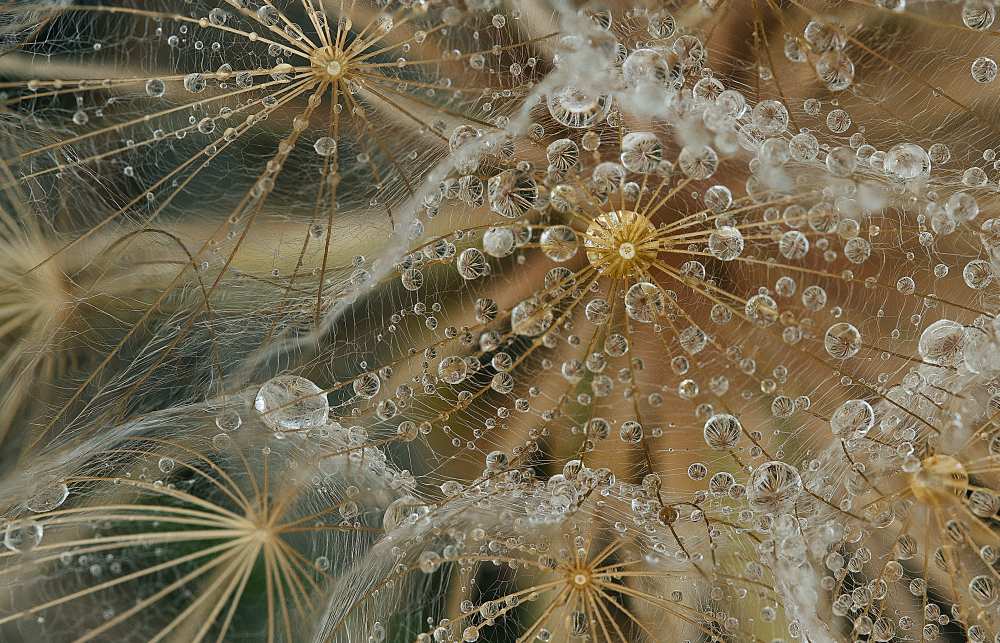 Starless von El Filósofo