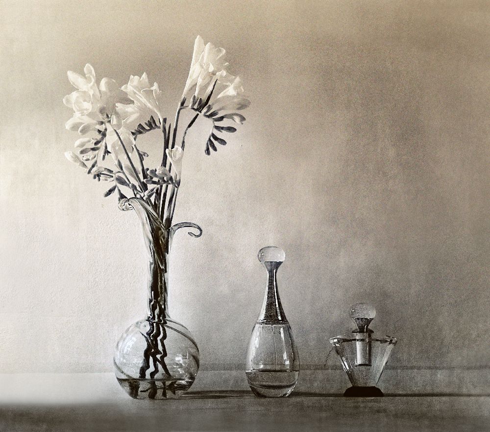 Ohne Titel von Elena Arjona