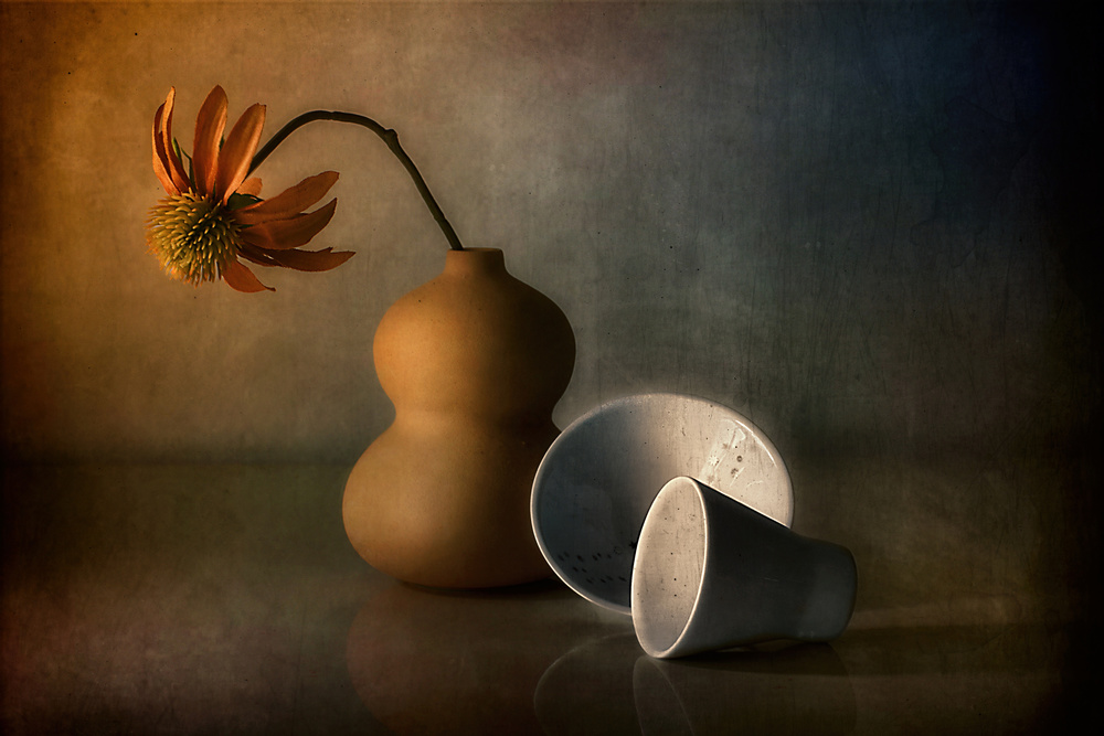 untitledl von Elena Arjona