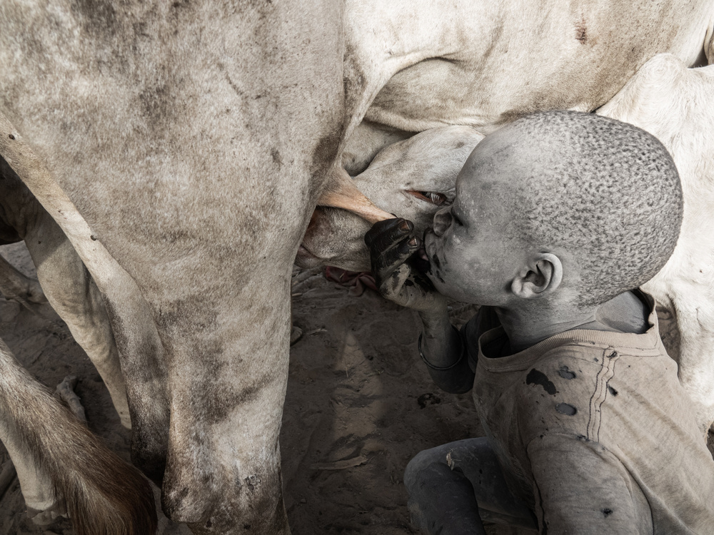 Shared feeding von Elena Molina