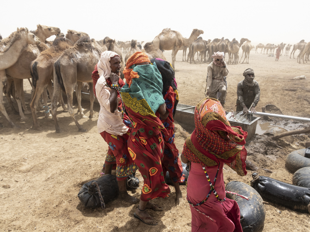 so much activity around the well at Borkou desert, Tchad von Elena Molina