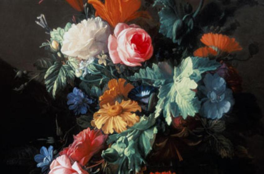 Elias van den Broeck